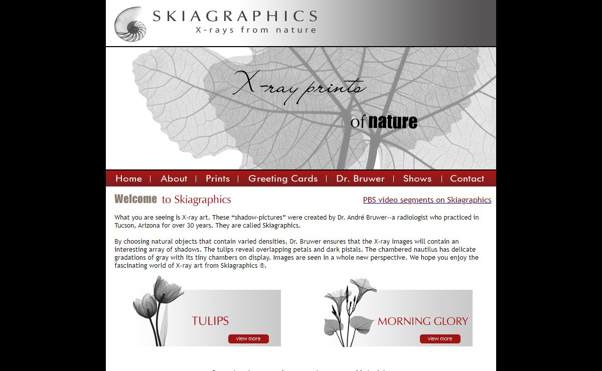 Skiagraphics - X-ray Art