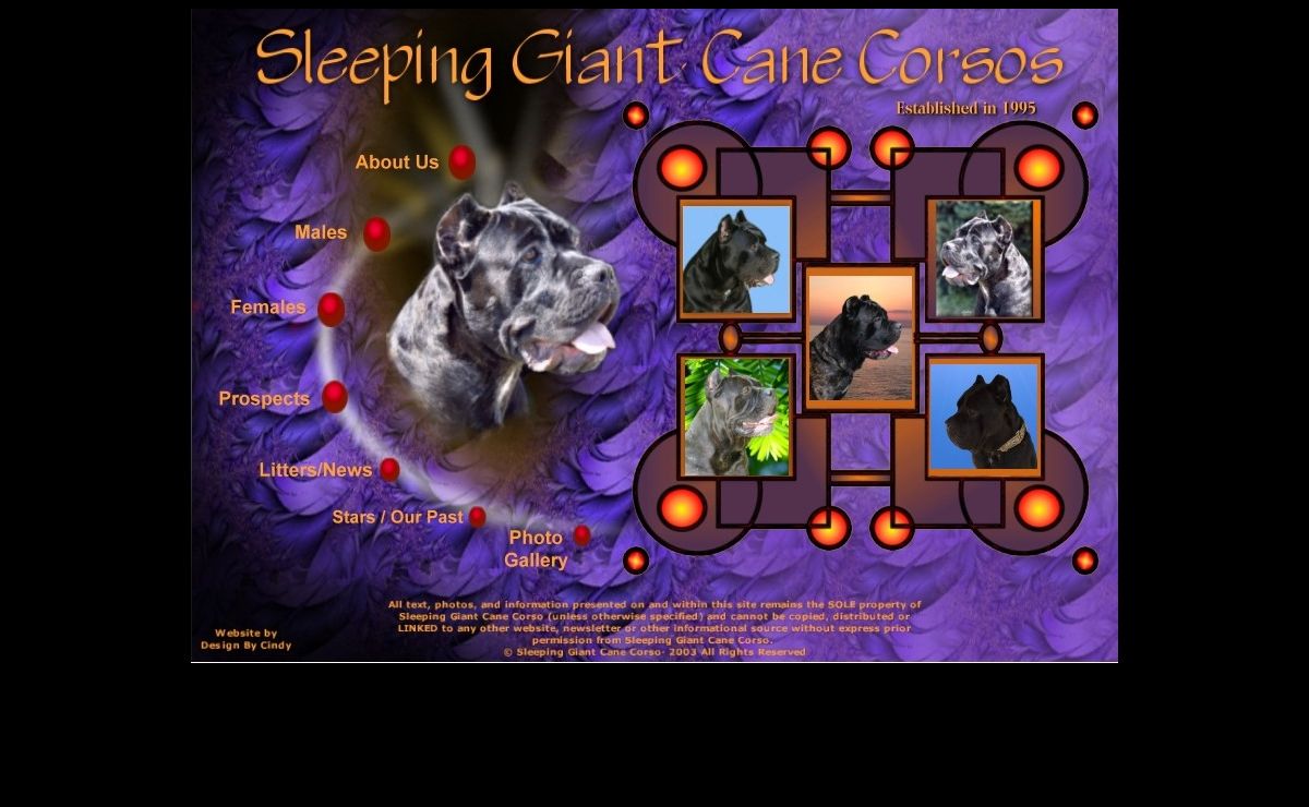 Cane Corso breeder in CT | Sleeping Giant Cane Corso | Cane Corso Puppies