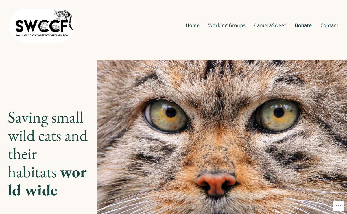 Small Wild Cat Conservation Foundation