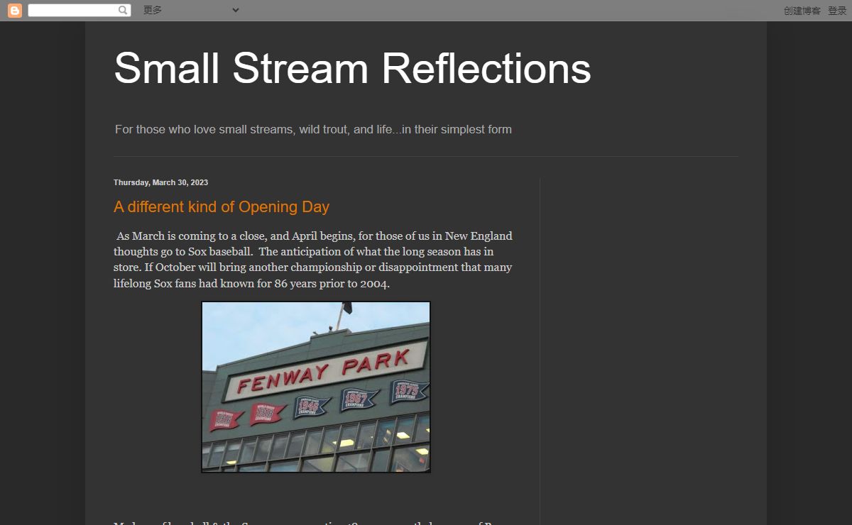 Small Stream Reflections