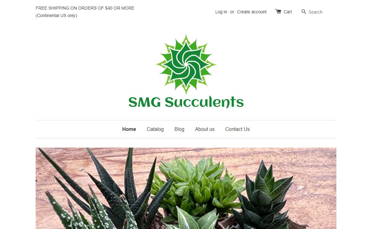 SMG Succulents- Fantastic Succulents for home and garden
