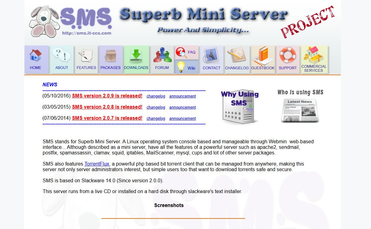 Superb Mini Server Project