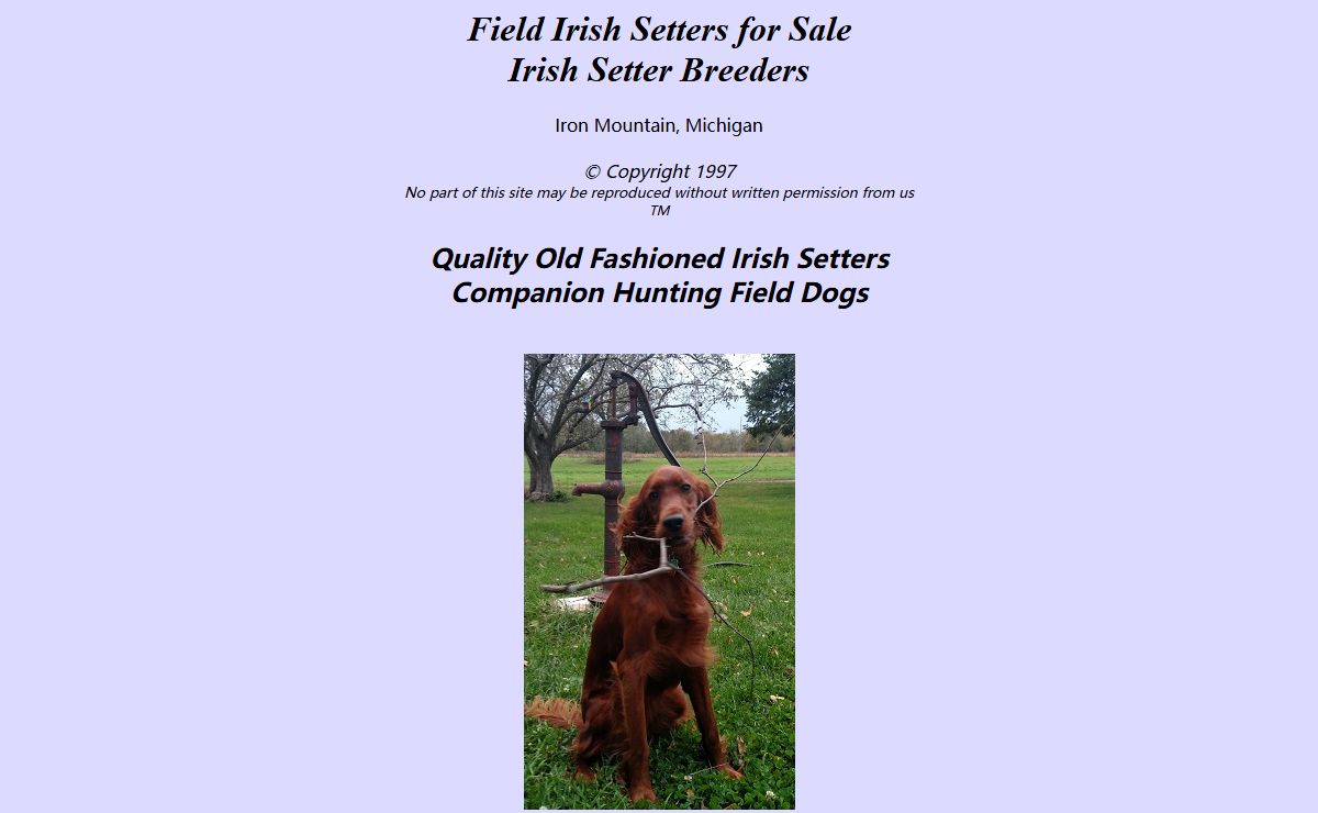 Field Irish Setters ~ Irish Setter Breeders