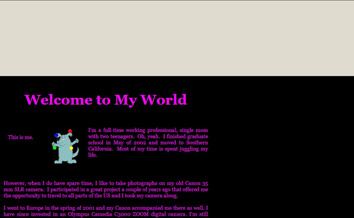 Page Title