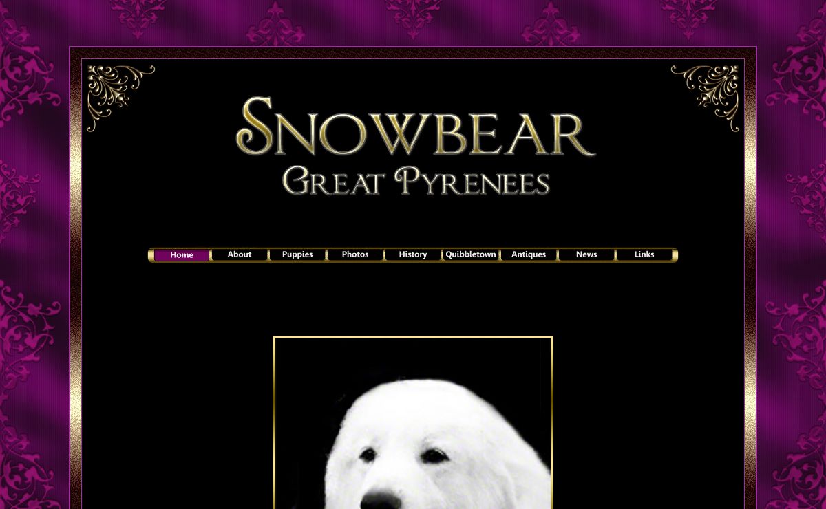 Snowbear Great Pyrenees