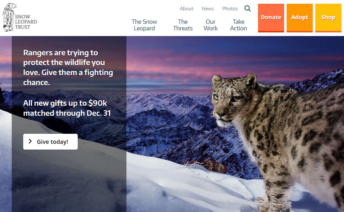 Home - Snow Leopard Trust
