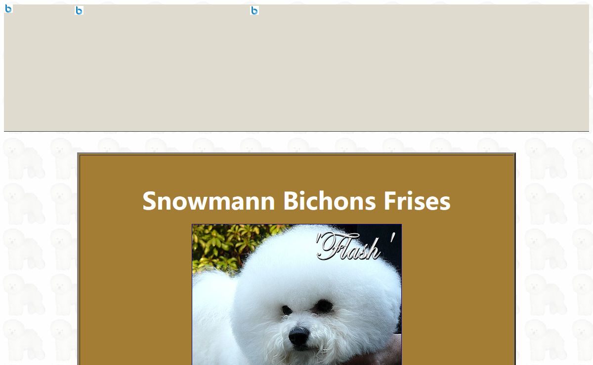 Snowmann Bichons