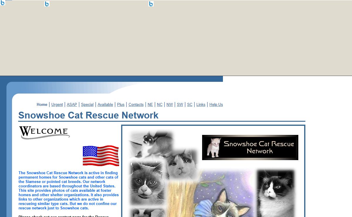 Snowshoe Cat Rescue Network