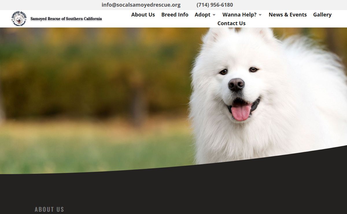 Samoyed Rescue of Southern California | Help our Cause!