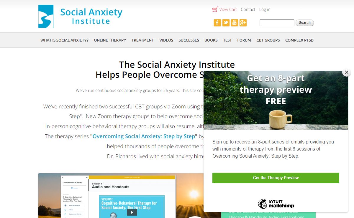 Social Anxiety Institute