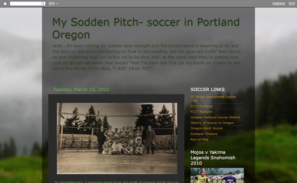 My Sodden Pitch- soccer in Portland Oregon