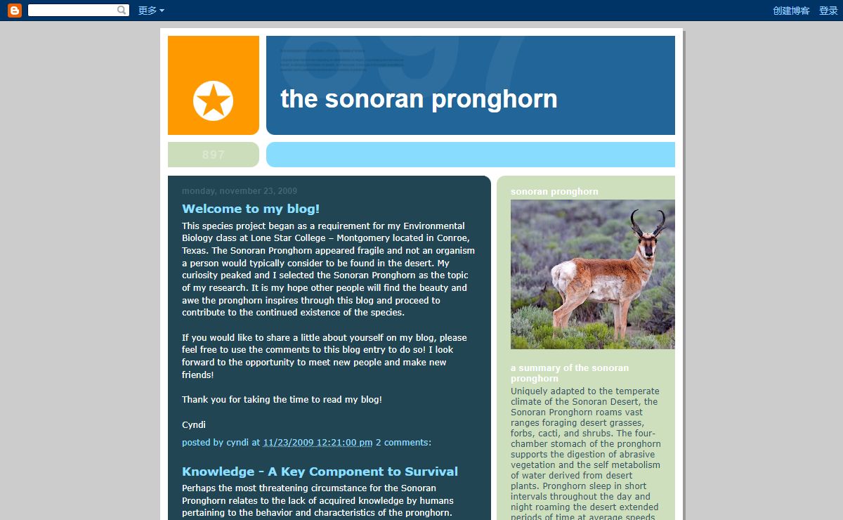 The Sonoran Pronghorn