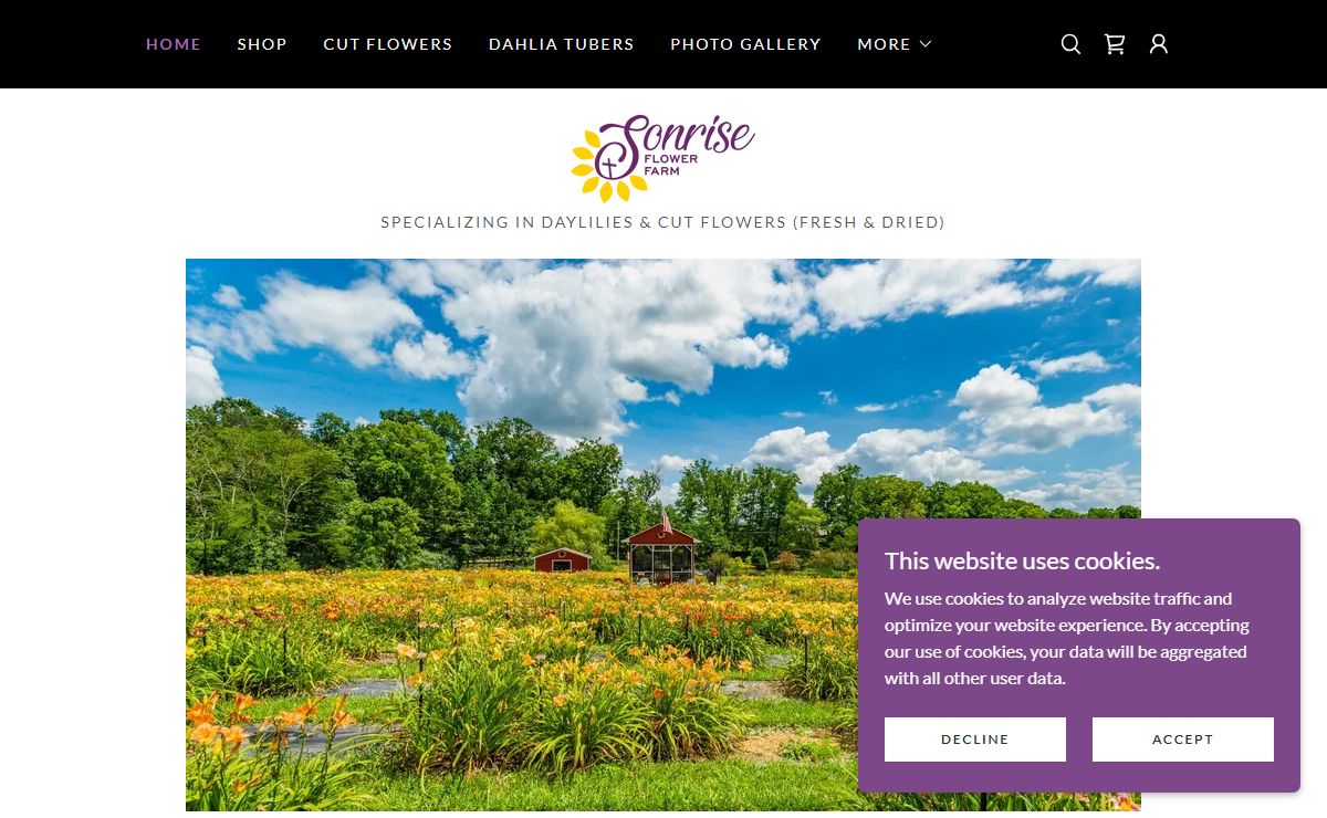 Sonrise Flower Farm - Daylilies, Perennial Flowers