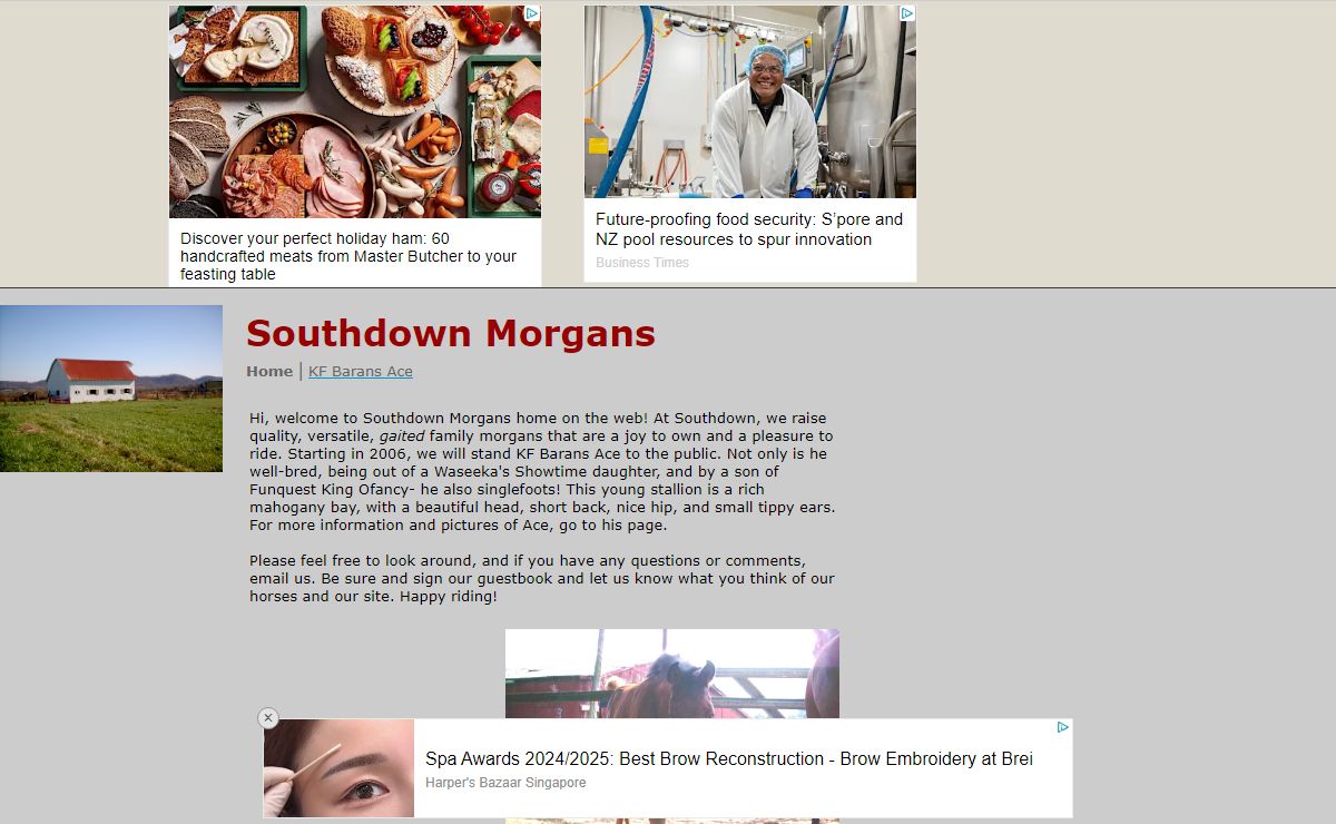 Southdown Morgans