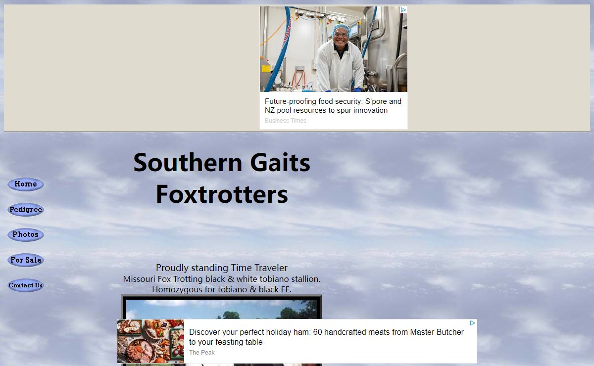 Southern Gaits Foxtrotters