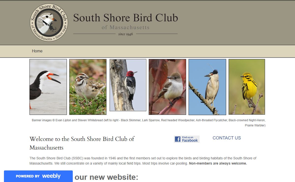 South Shore Bird Club - Home