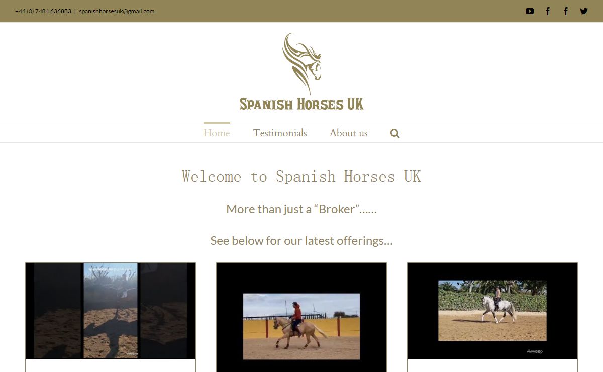 Home - Spanish Horses UK