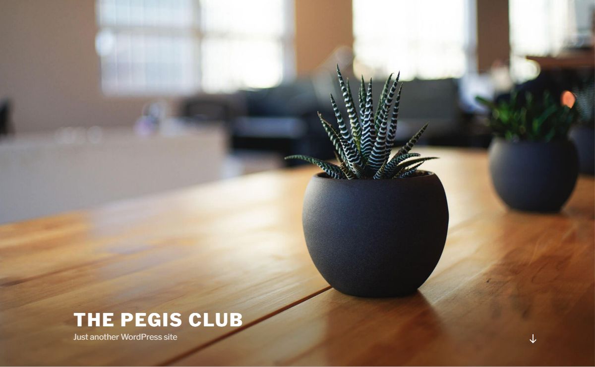 The Pegis Club – Just another WordPress site