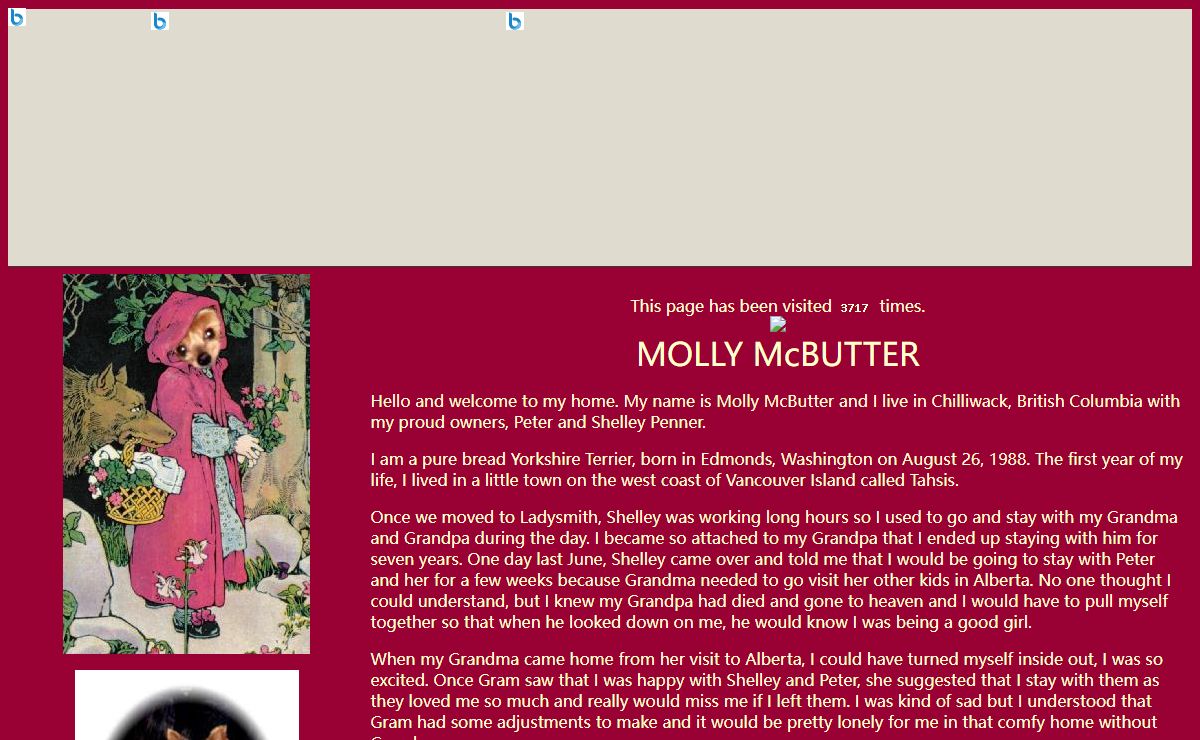 Molly McButters Page