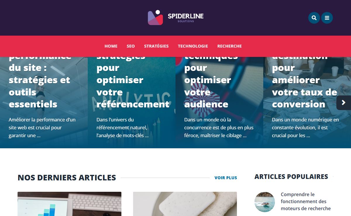 Homepage - Spiderline Solutions
