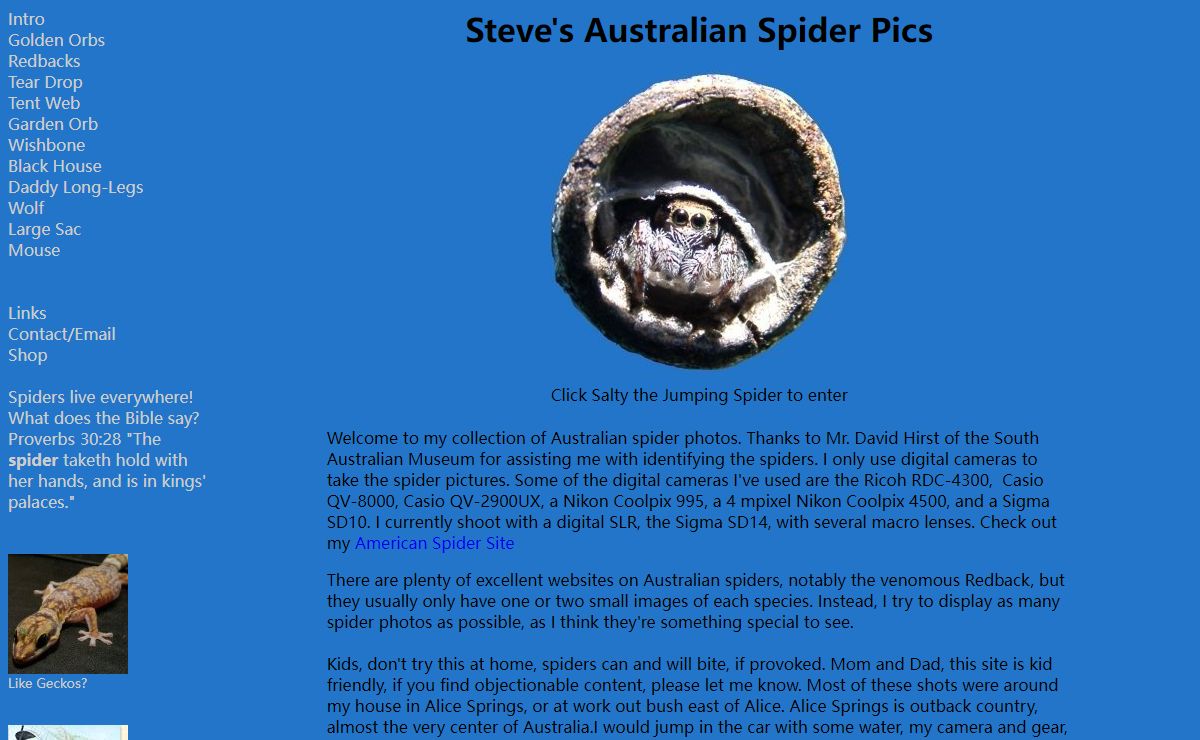 Steve's Spider Pics