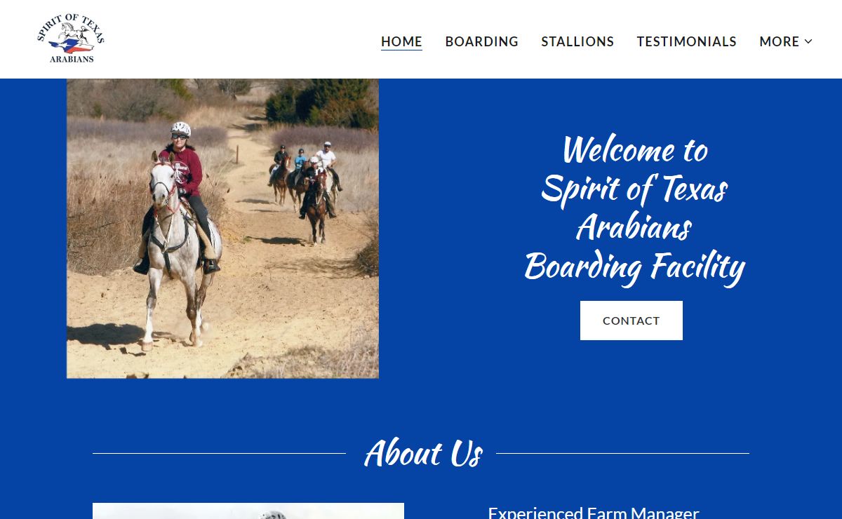 Spirit of Texas Arabians - Boarding, Training, Arabian Horse Sales