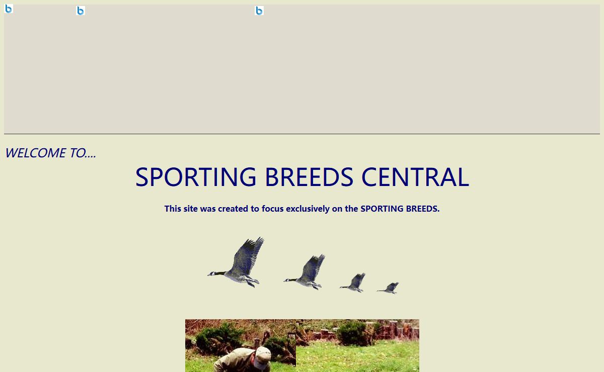 SPORTING BREEDS CENTRAL