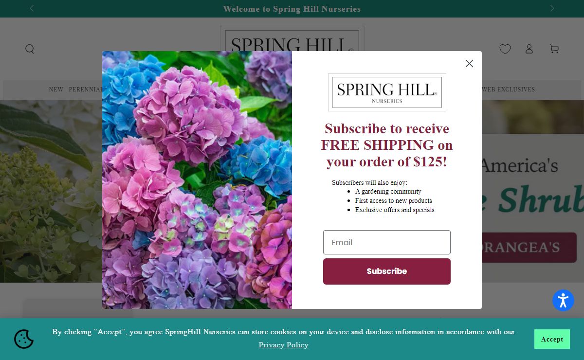 Spring Hill Nurseries | Find your Inspiration- Online Nursery – Spring Hill Nursery