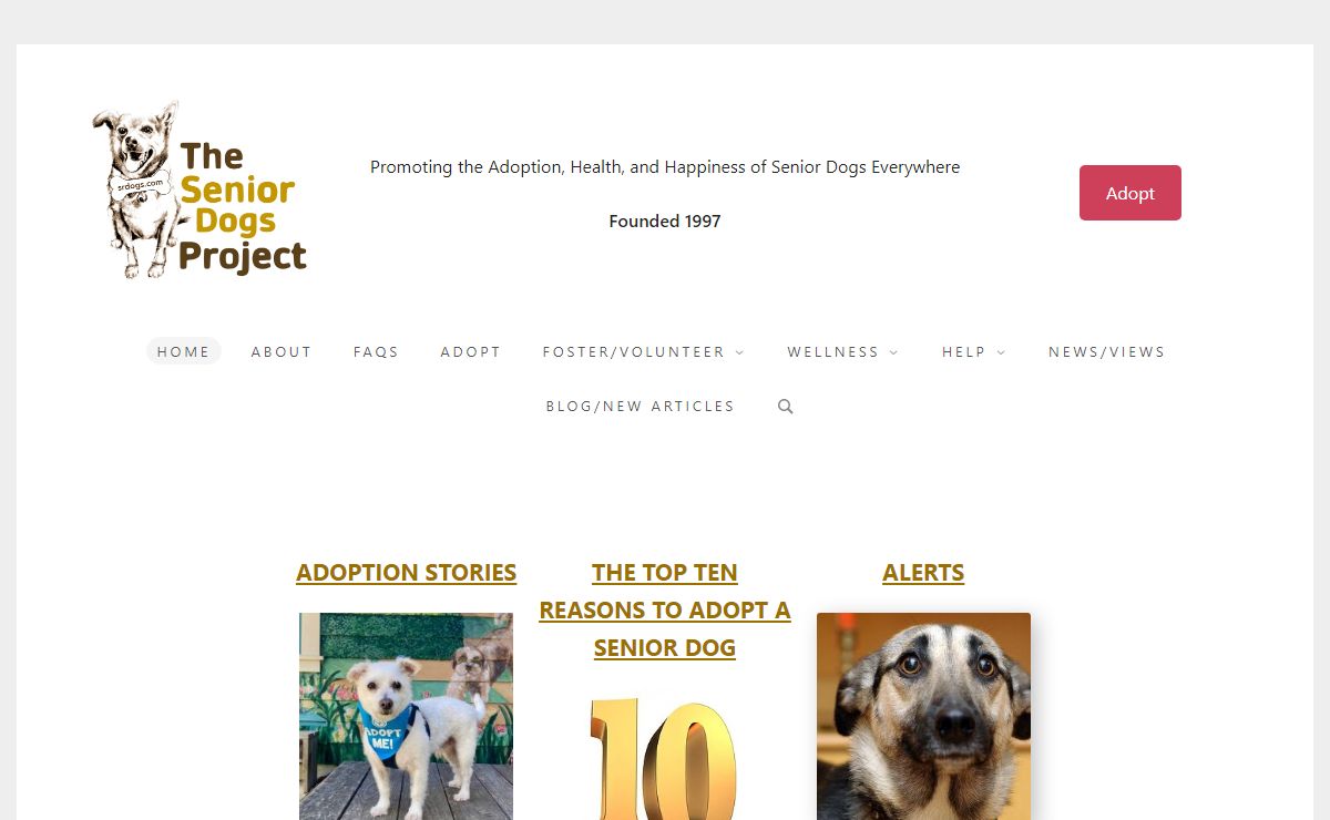 Home - The Senior Dogs Project