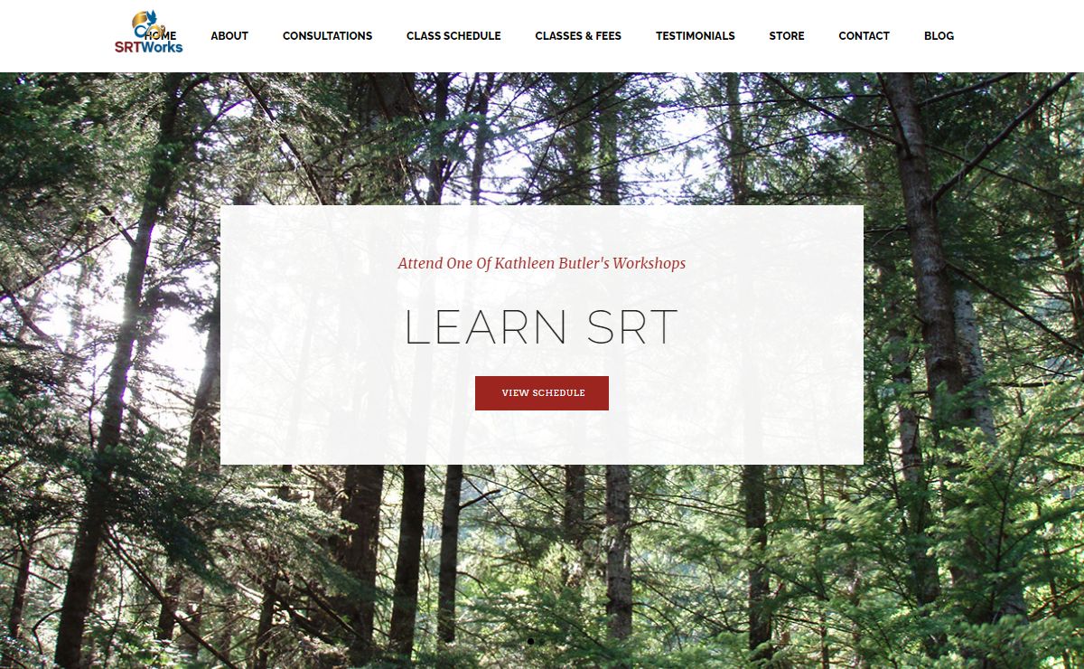 Home - SRT Works