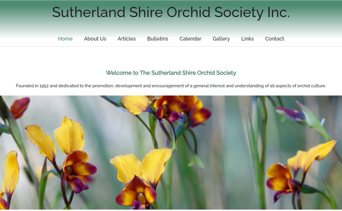 Home - Sutherland Shire Orchid Society Inc.