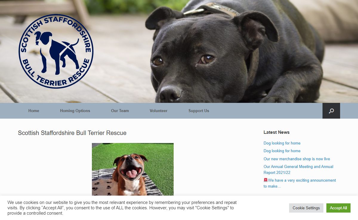 Scottish Staffordshire Bull Terrier Rescue - Scottish Staffordshire Bull Terrier Rescue