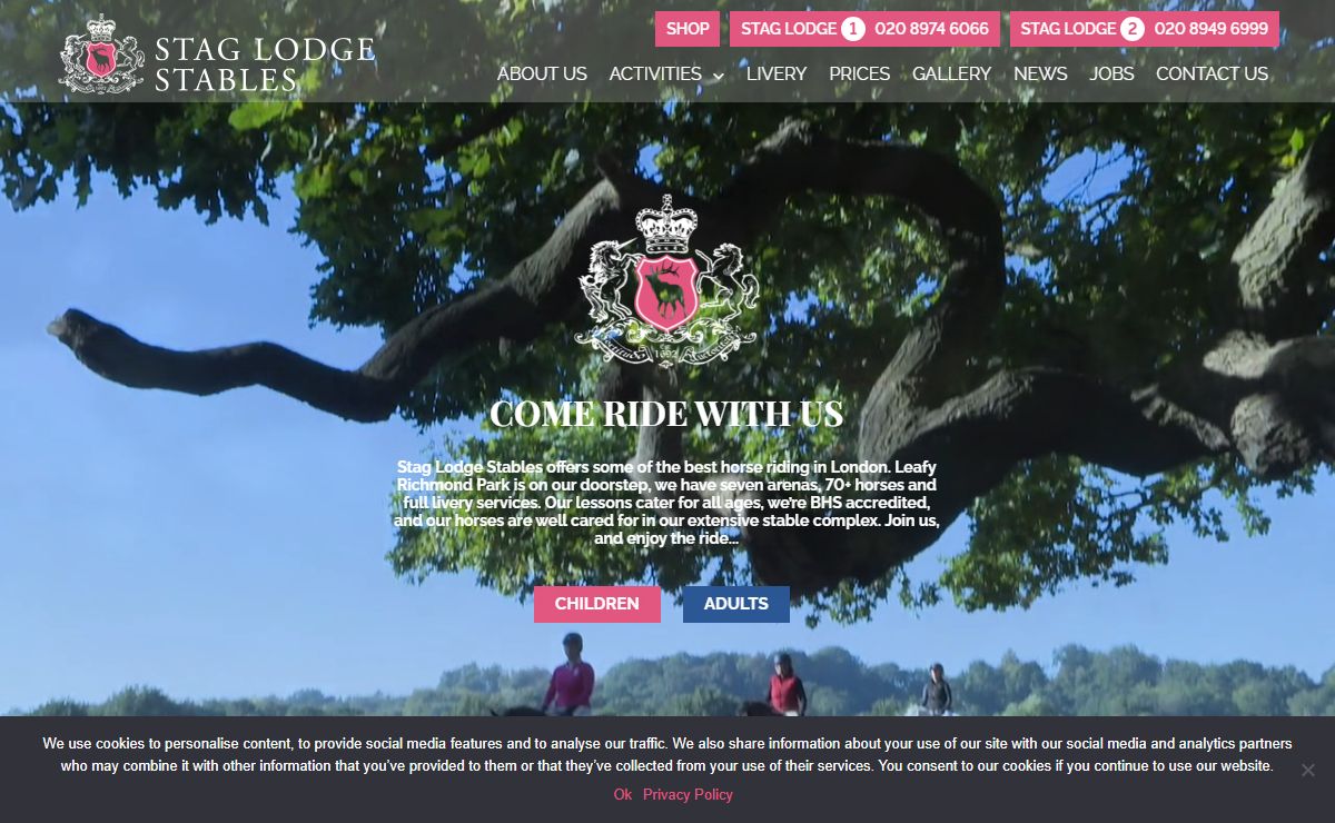 Stag Lodge Stables – Stag Lodge Stables – The Best Riding in London
