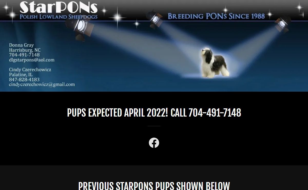 Polish Lowland Sheepdog - StarPONs Polish Lowland Sheepdogs
