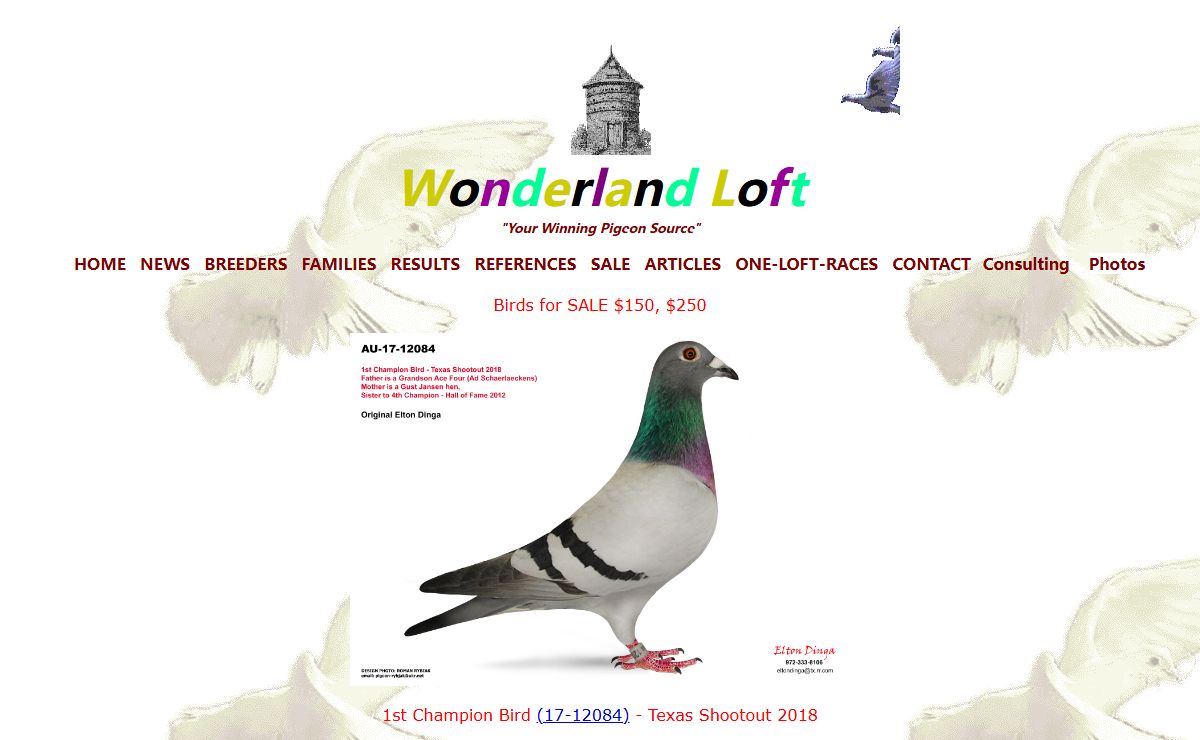 Racing Pigeons by Elton
