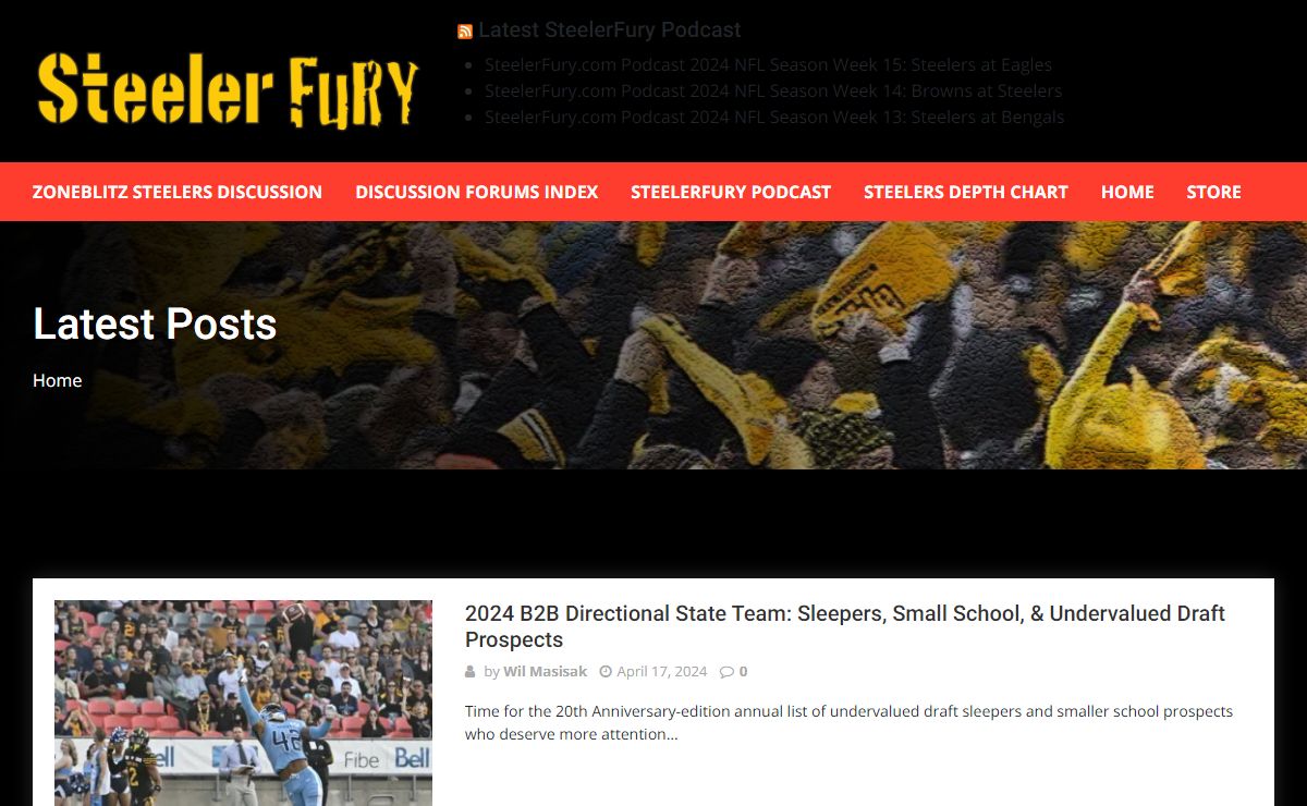 SteelerFury – The Best in Steelers analysis and discussion.