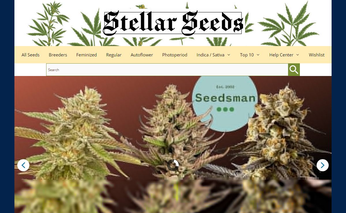 Organic Cannabis Seeds - Stellar Seeds