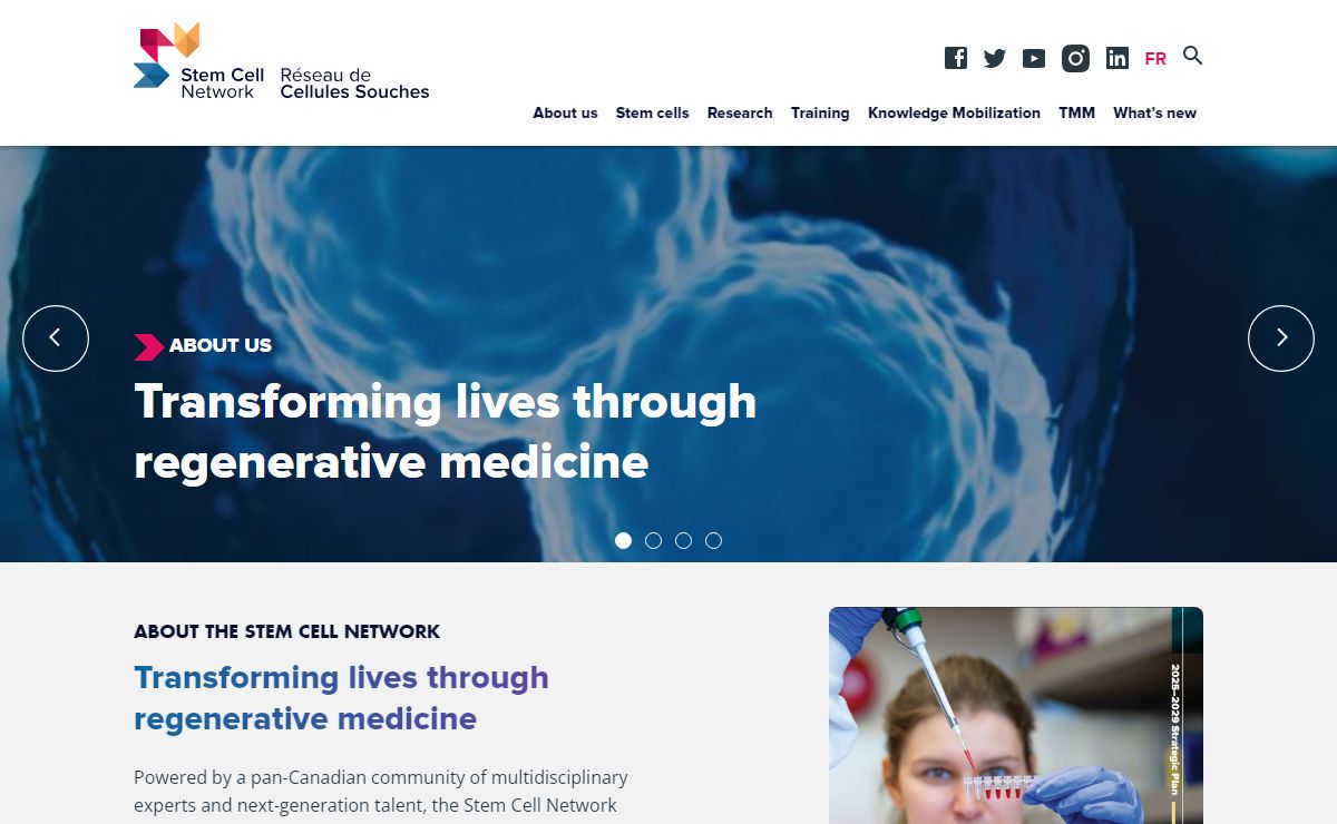 Stem Cell Network