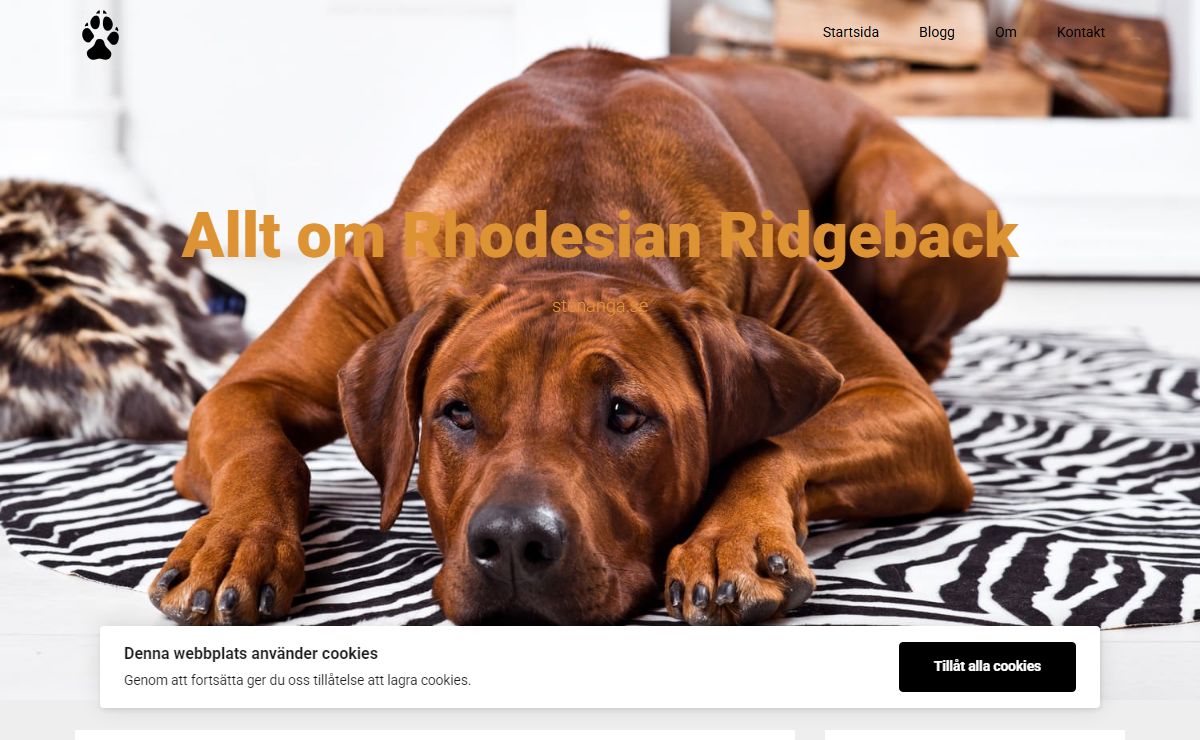 Allt om Rhodesian Ridgeback – stenanga.se