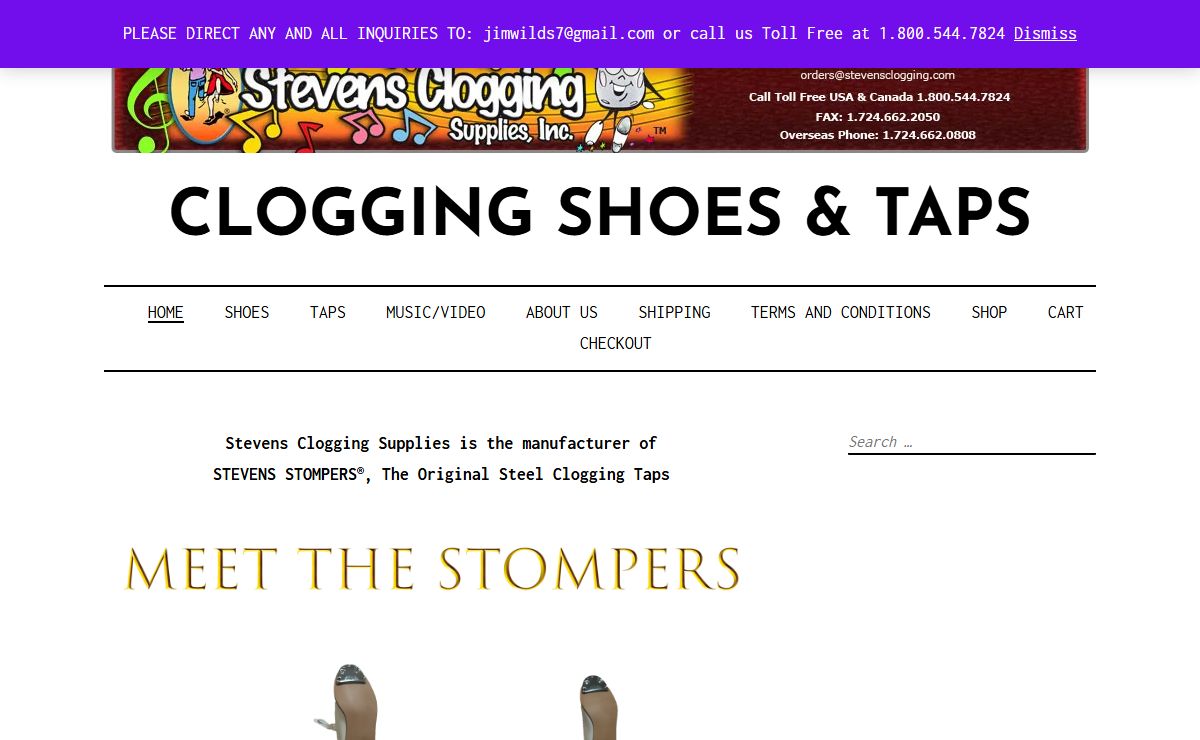 Clogging Shoes & Taps