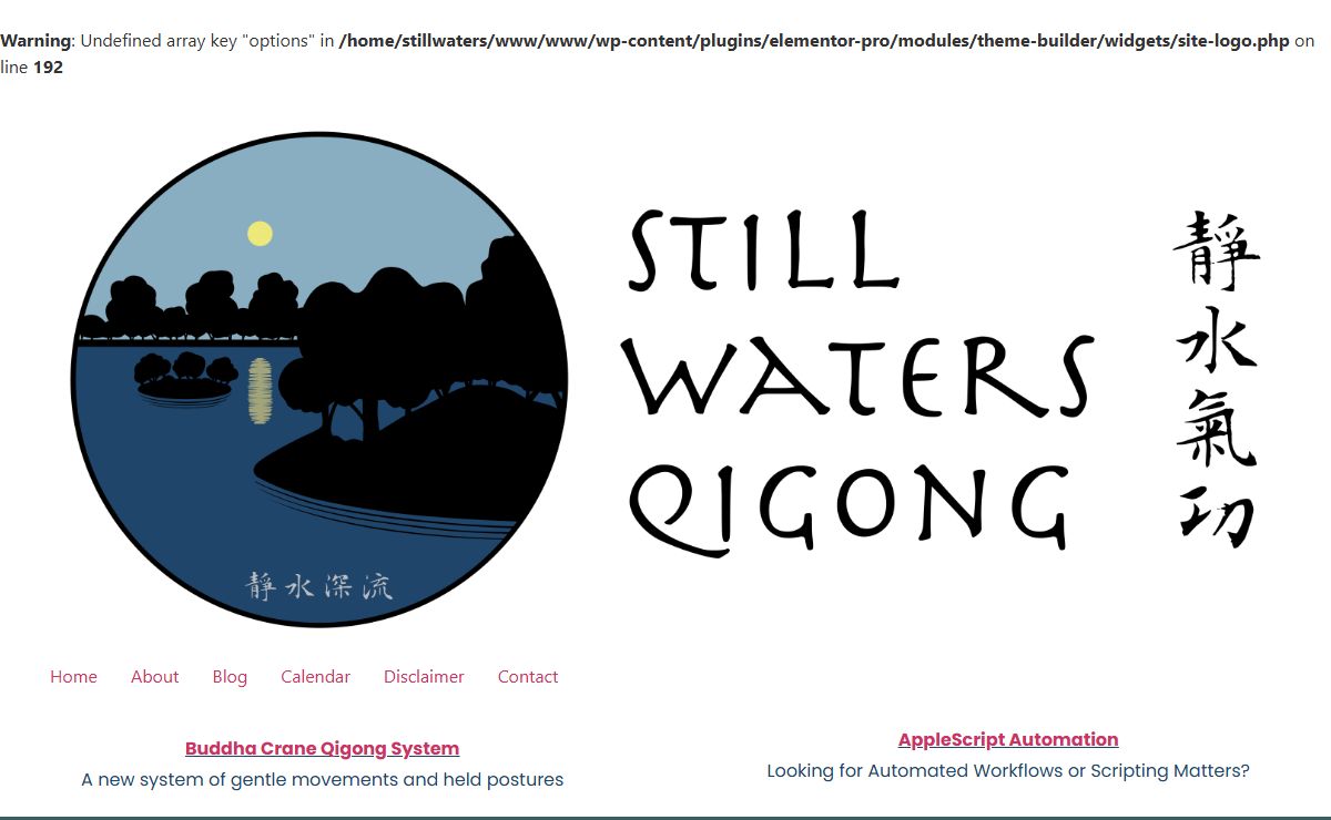 Still Waters Qigong