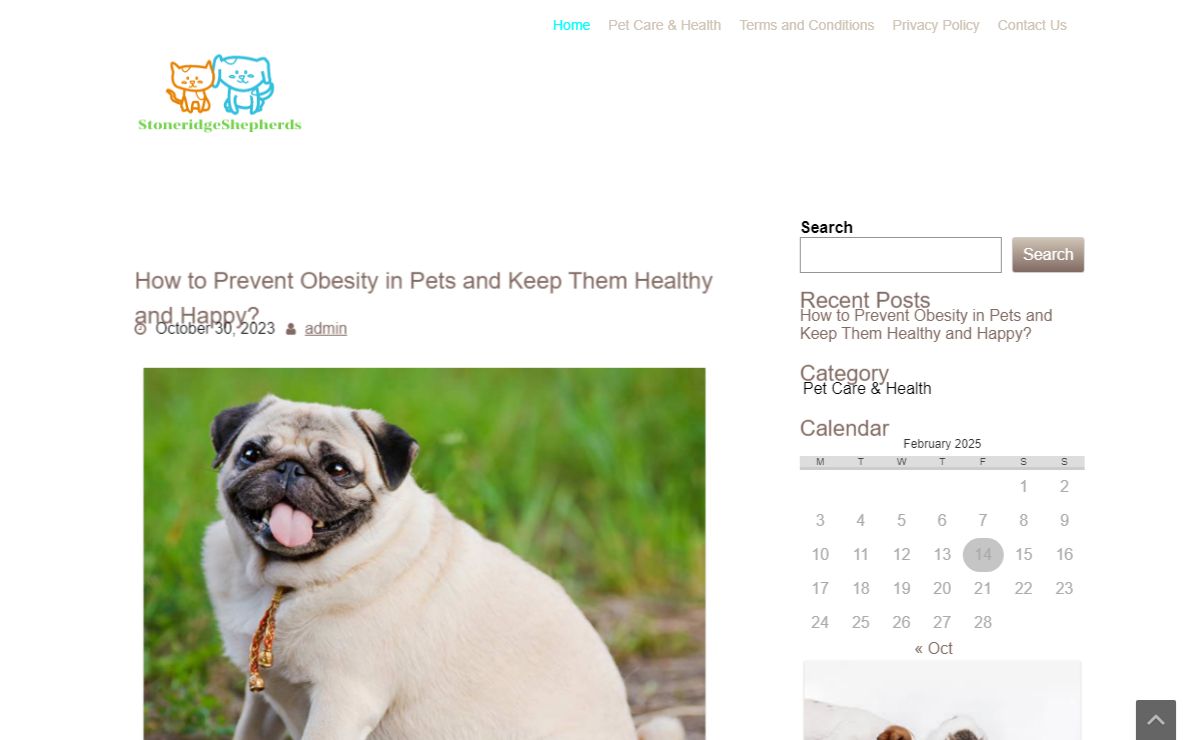 Animal Hospital, Pet Care |