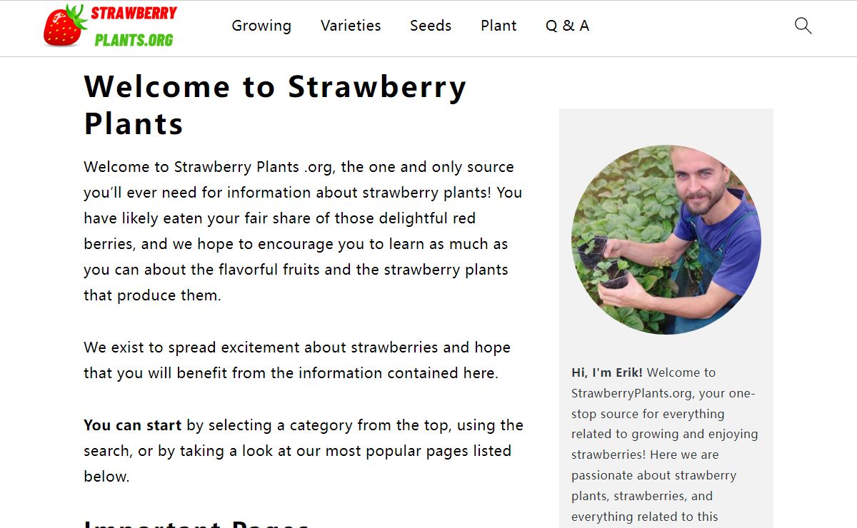 Strawberry Plants - #1 Strawberry Resource