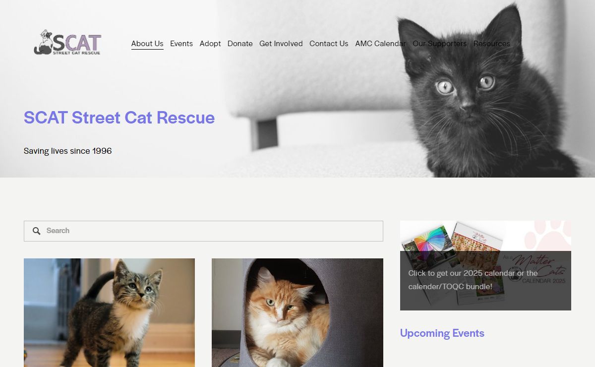 SCAT Street Cat Rescue