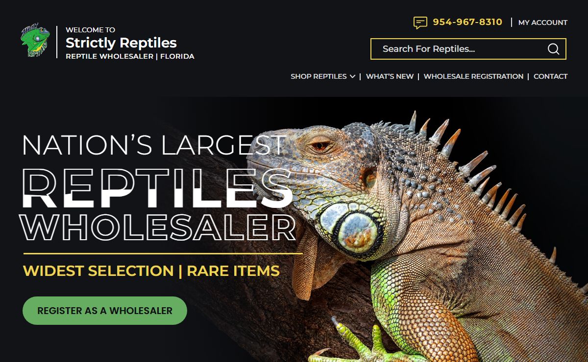 Wholesale Reptiles | Strictly Reptiles
