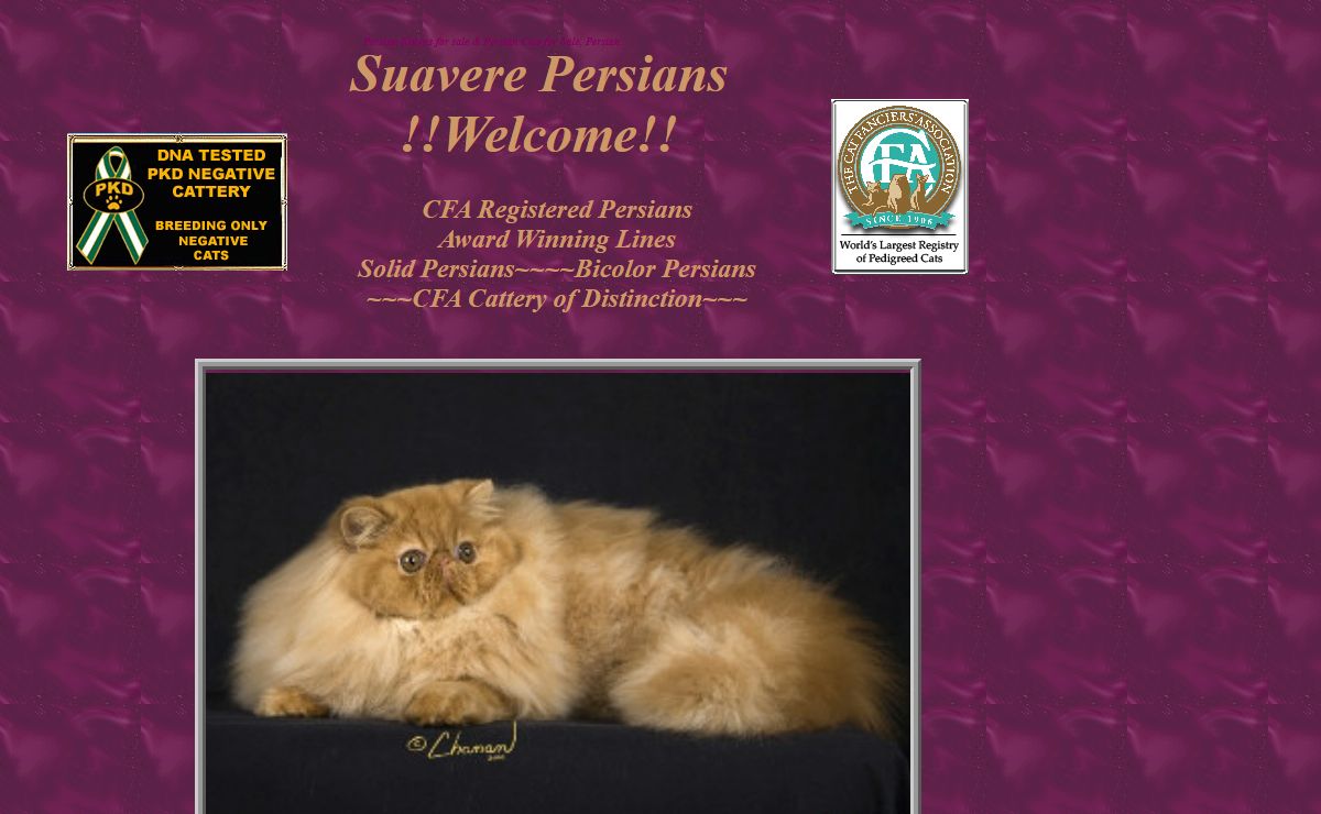 Persian Kittens For Sale, Beautiful Persian Cats and Persian Kittens, Persian Cat Breeder