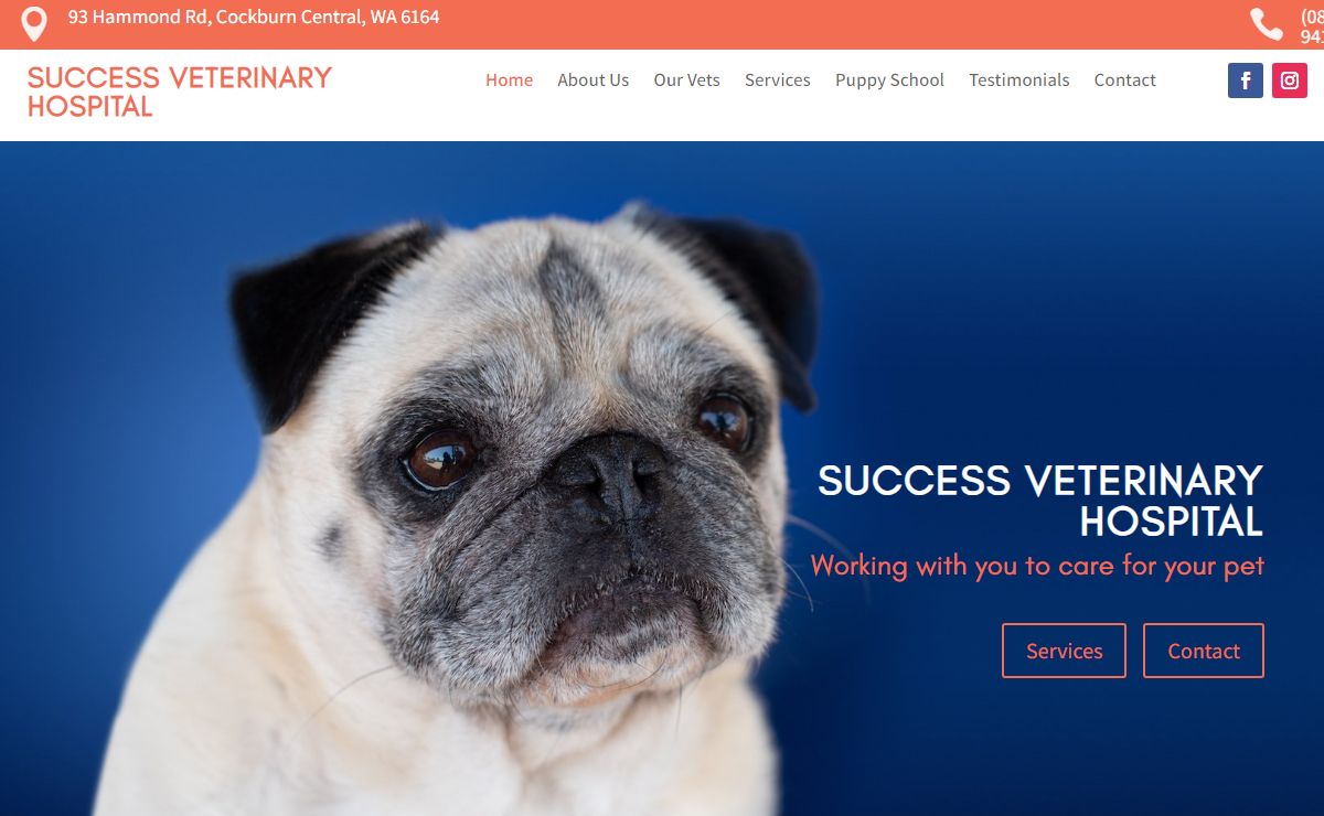 Expert, Friendly & Affordable Vet Services - Success Veterinary Hospital