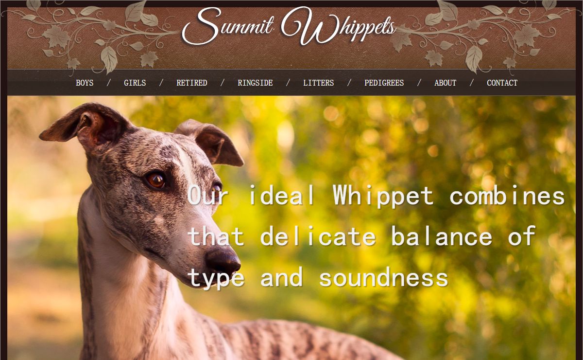 Summit Whippets