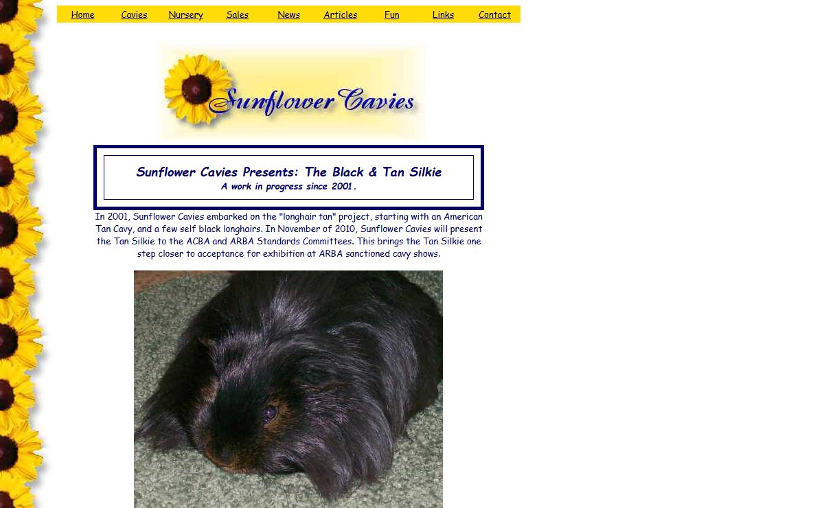 SunflowerCavies.com ~ Coronets ~ Peruvians ~ Silkies ~ Satins ~ Texels ~ Skinnies