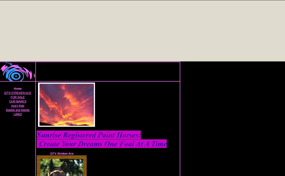 Sunrise Registered Paint Horses